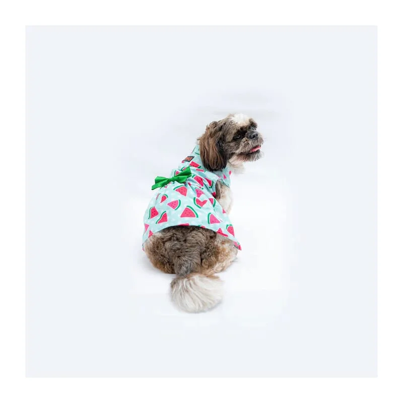 Pawgy Pets Watermelon Sugar Dress