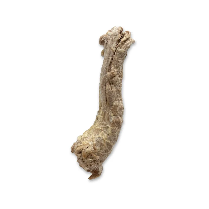 Bones & Co Freeze-Dried Duck Neck Chew (Single)