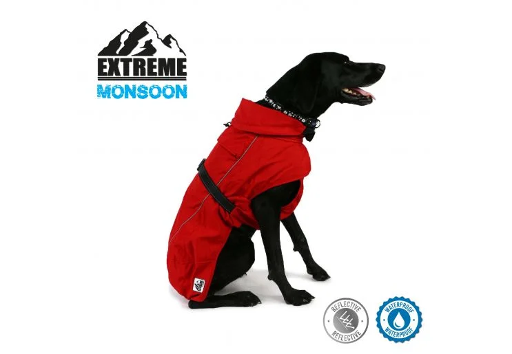 Ancol - Extreme Monsoon Dog Coat - Red - x small - 25cm