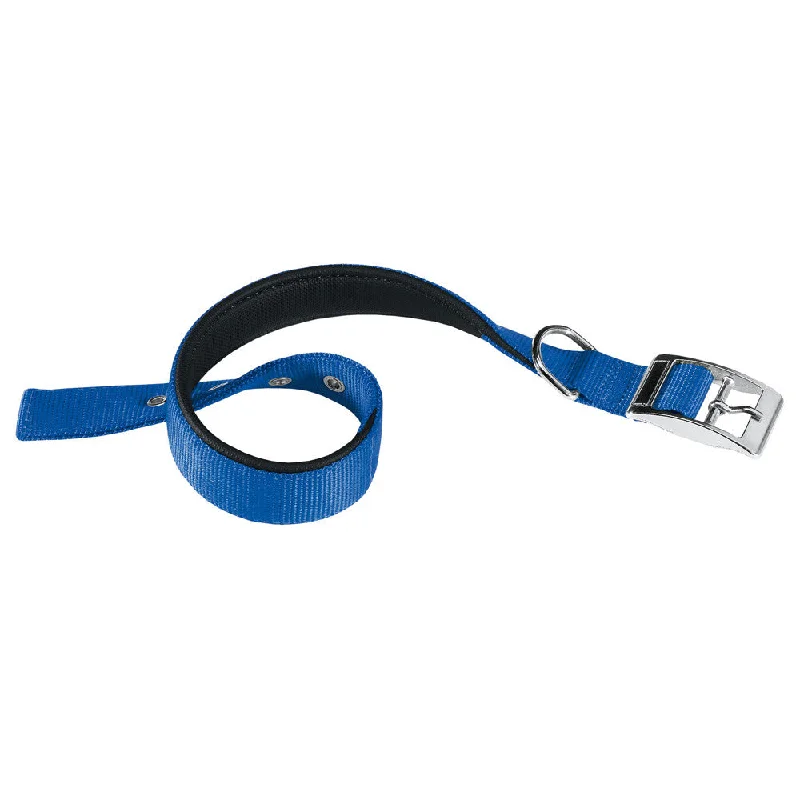 Ferplast Daytona C Nylon Dog Collar