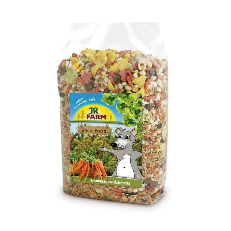 JR FARM Gerbils feast 600gr