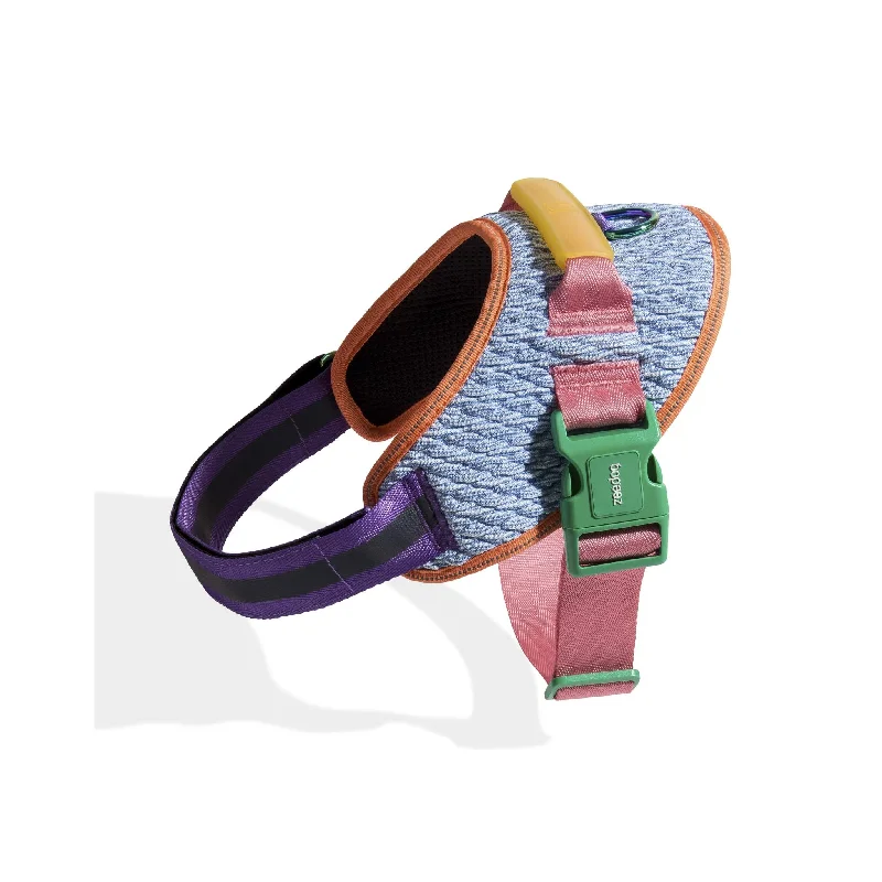 Zee Dog Galaxy Dog Flyharness